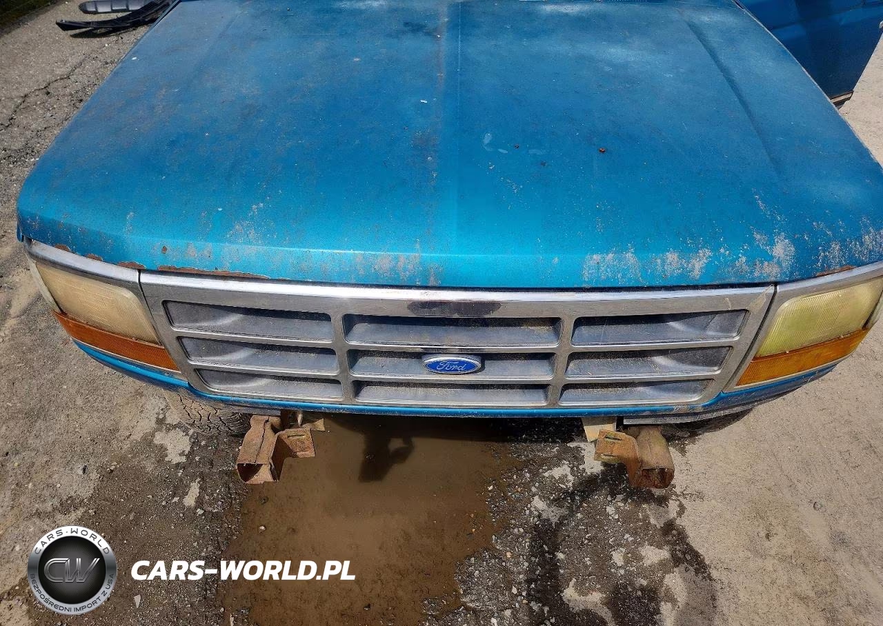 1994 Ford F150 VIN:1FTEF14Y5RLB34928 - 11