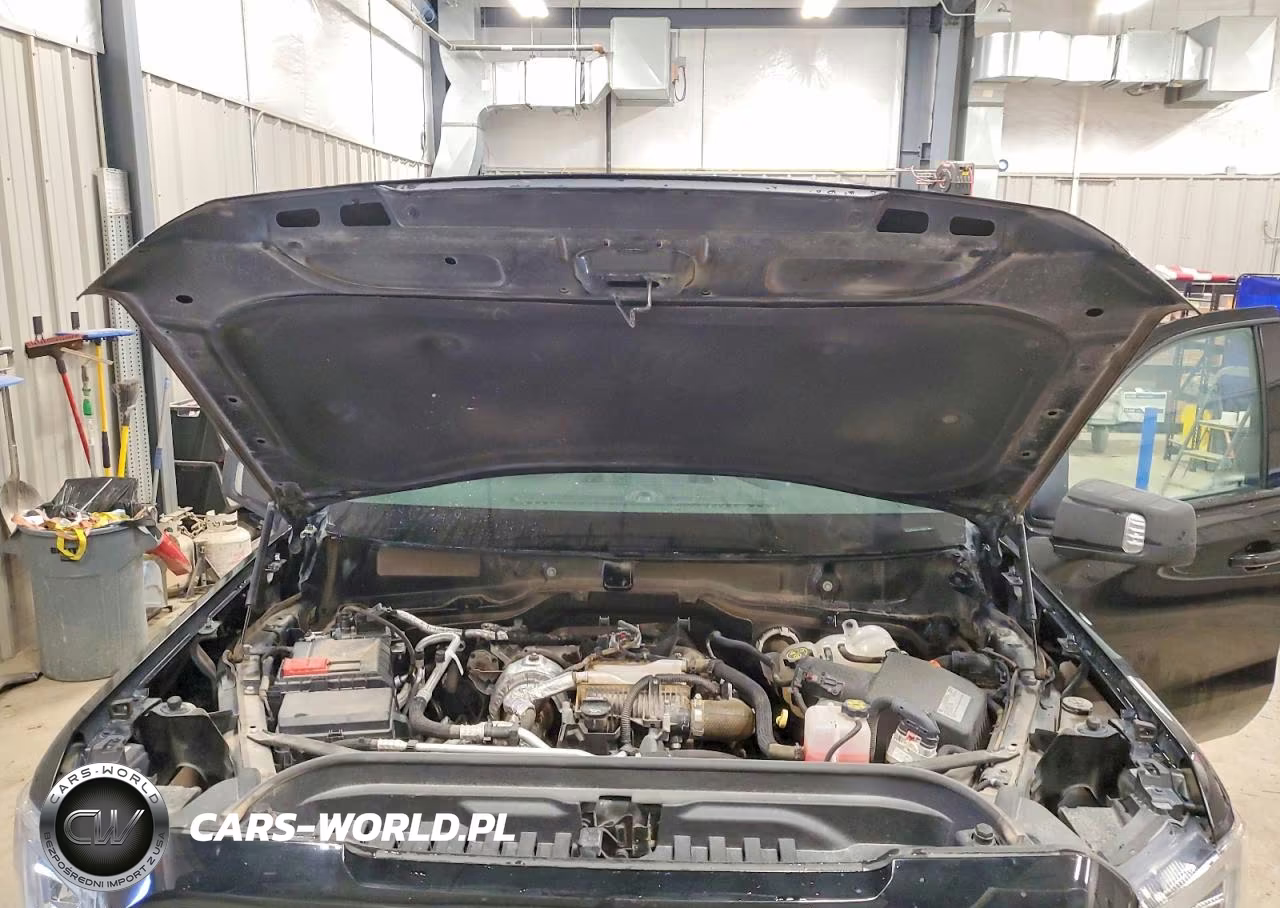 2020 GMC Sierra K1500 Elevation VIN:3GTU9CET6LG426402 - 11