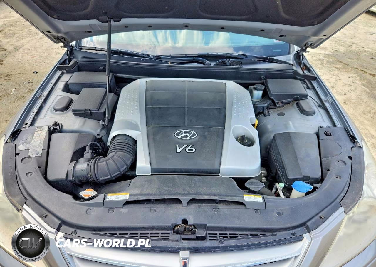 2009 Hyundai Genesis 3.8L VIN:KMHGC46E59U024232 - 11