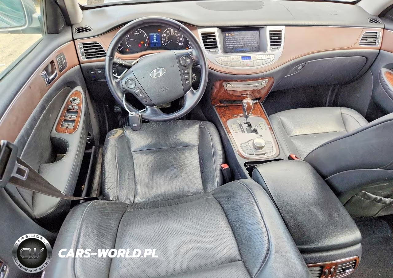 2009 Hyundai Genesis 3.8L VIN:KMHGC46E59U024232 - 8
