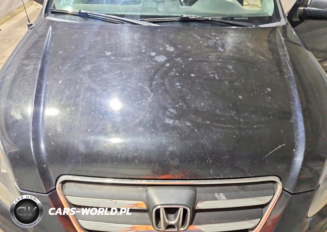 2005 Honda Cr-V Se VIN:JHLRD78945C002009 - 12
