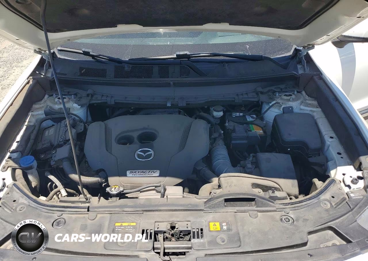 2019 Mazda Cx-9 Grand Touring VIN:JM3TCBDY6K0303987 - 12