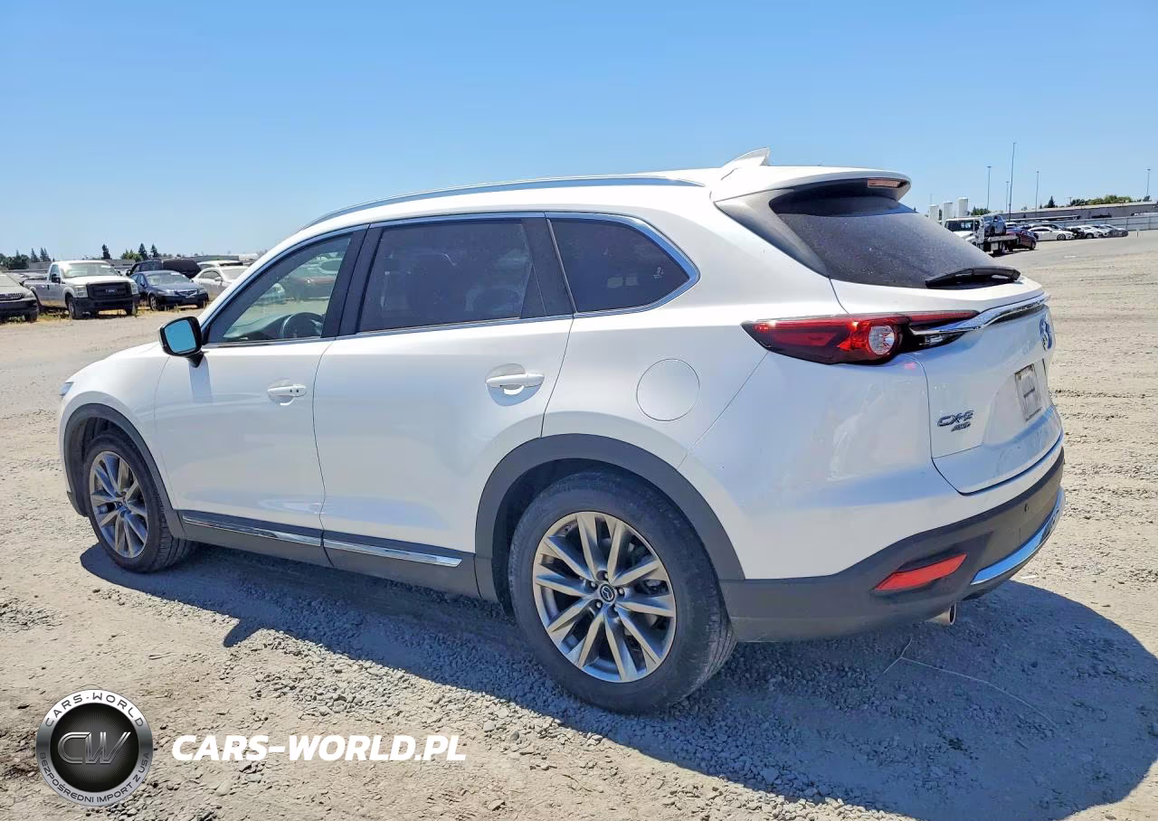 2019 Mazda Cx-9 Grand Touring VIN:JM3TCBDY6K0303987 - 2