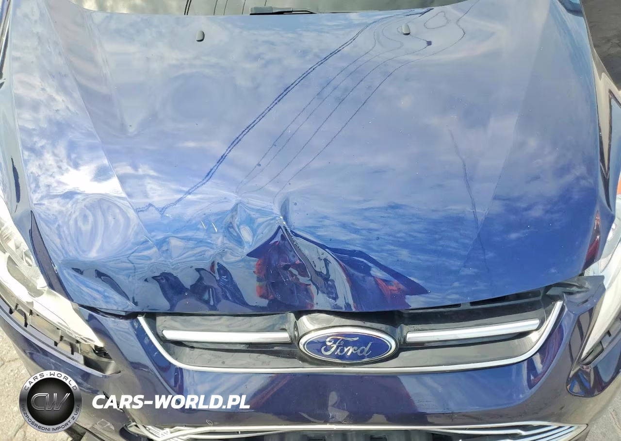 2016 Ford C-Max Premium Sel VIN:1FADP5CU3GL121113 - 11