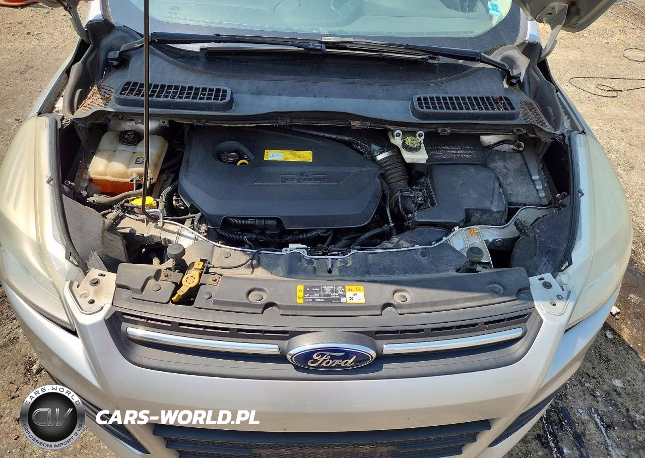 2013 Ford Escape Se VIN:1FMCU9GX0DUB02594 - 12
