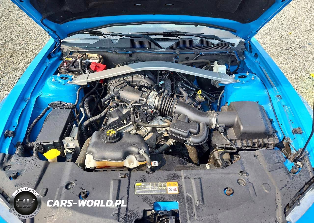 2013 Ford Mustang VIN:1ZVBP8EM3D5235349 - 11