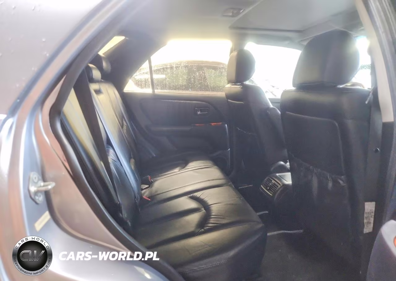 2003 Lexus Rx 300 VIN:JTJHF10U030313965 - 10
