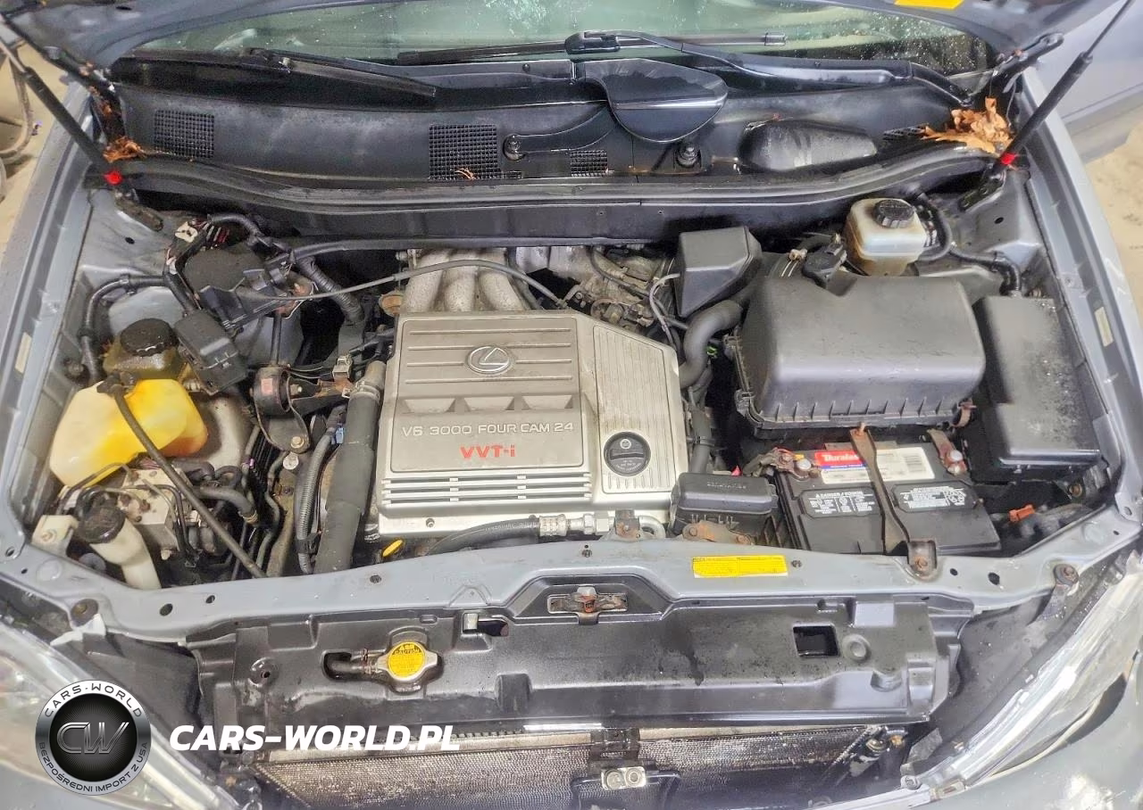 2003 Lexus Rx 300 VIN:JTJHF10U030313965 - 11