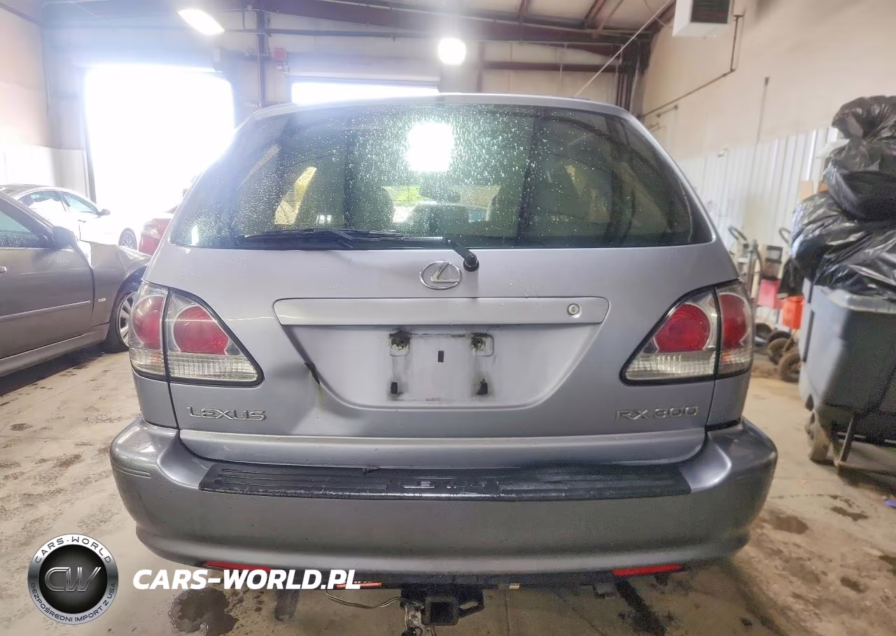 2003 Lexus Rx 300 VIN:JTJHF10U030313965 - 6