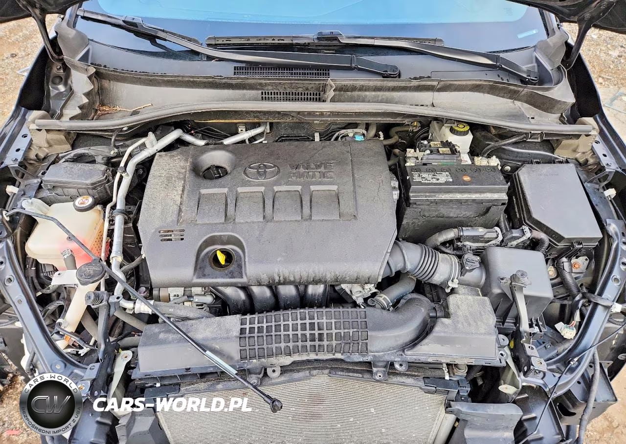 2019 Toyota C-Hr Xle VIN:JTNKHMBX6K1057931 - 11