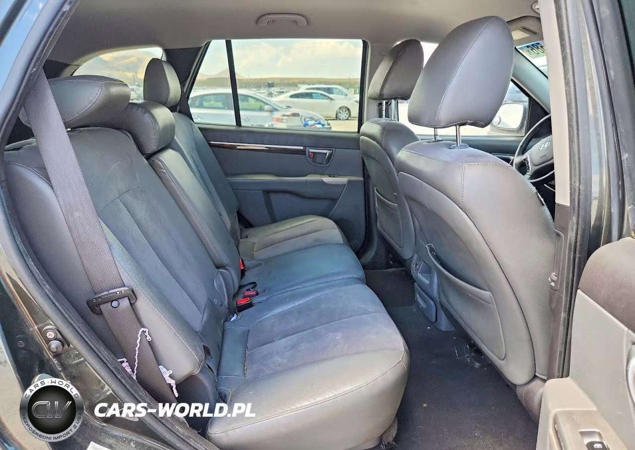 2010 Hyundai Santa Fe Se VIN:5NMSH4AG5AH342209 - 10