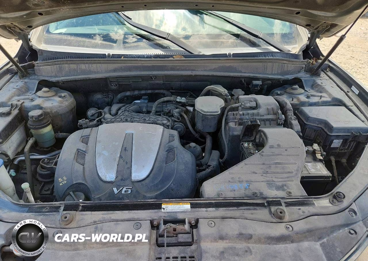 2010 Hyundai Santa Fe Se VIN:5NMSH4AG5AH342209 - 11