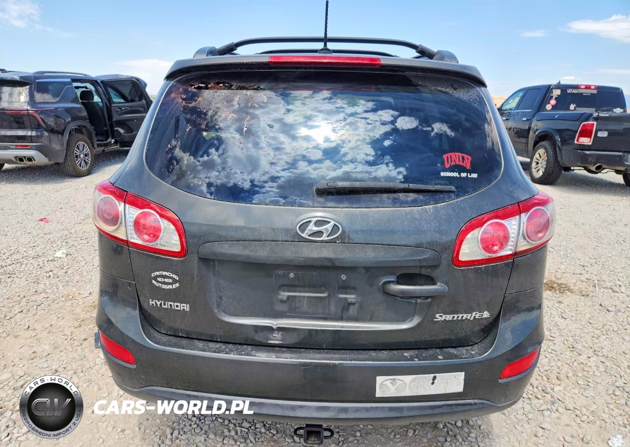 2010 Hyundai Santa Fe Se VIN:5NMSH4AG5AH342209 - 6