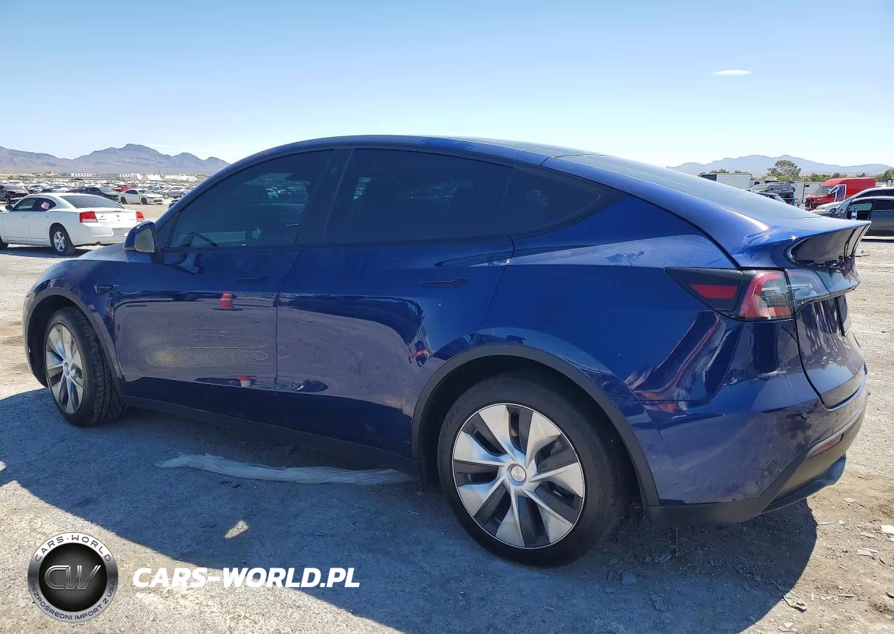 2022 Tesla Model Y VIN:7SAYGDEEXNF461308 - 2