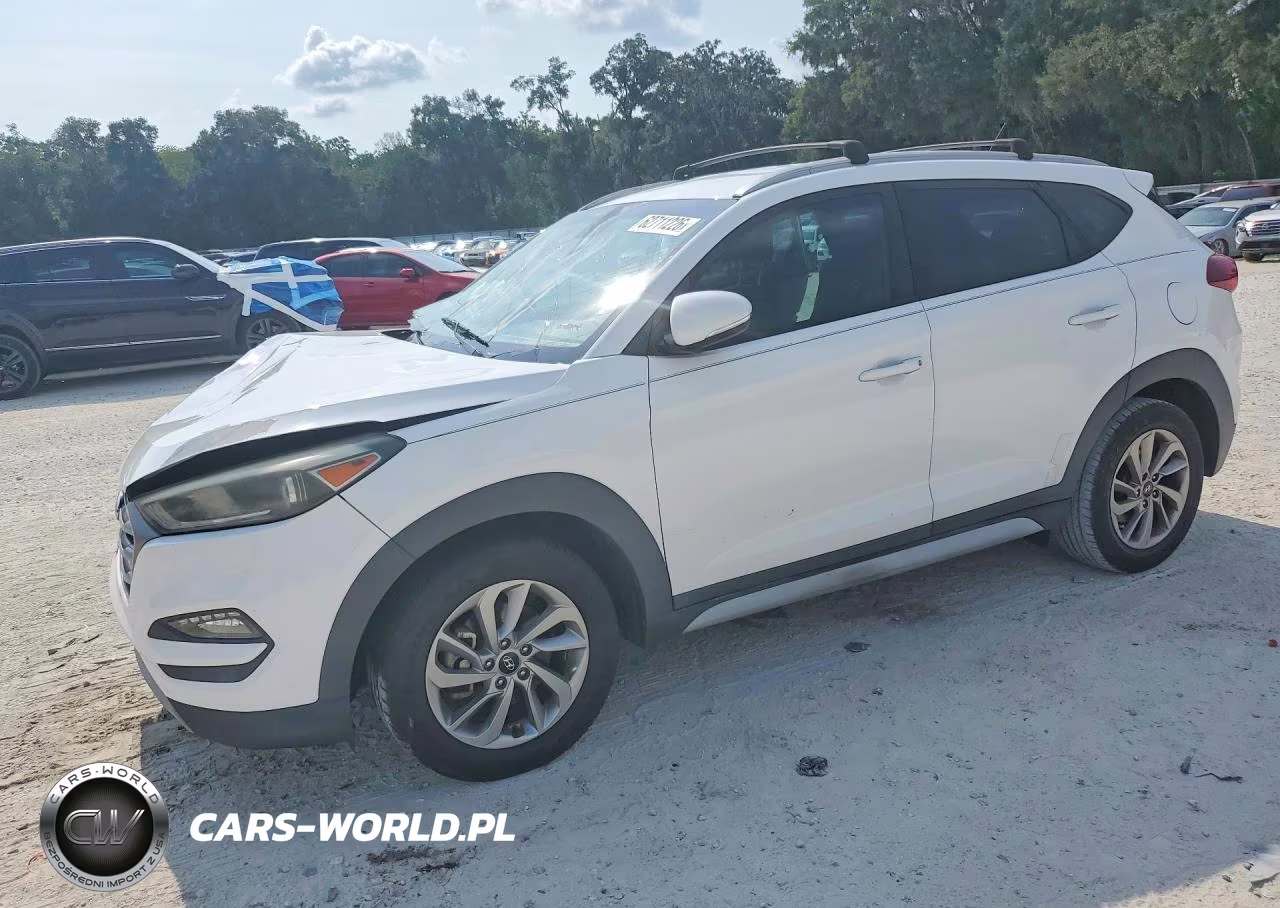 2017 Hyundai Tucson Eco VIN:KM8J33A21HU576175 - 1