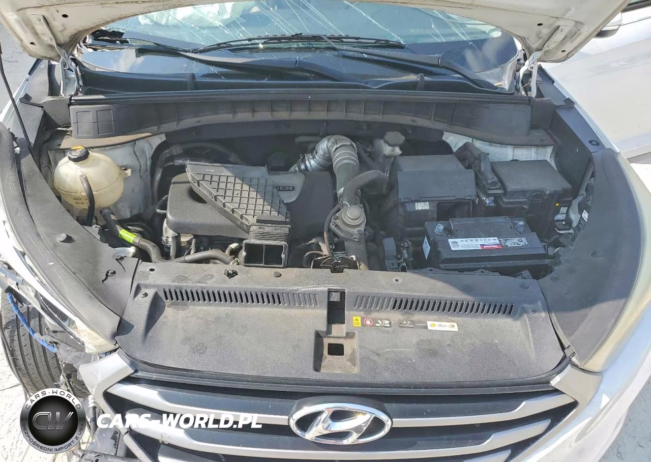 2017 Hyundai Tucson Eco VIN:KM8J33A21HU576175 - 11