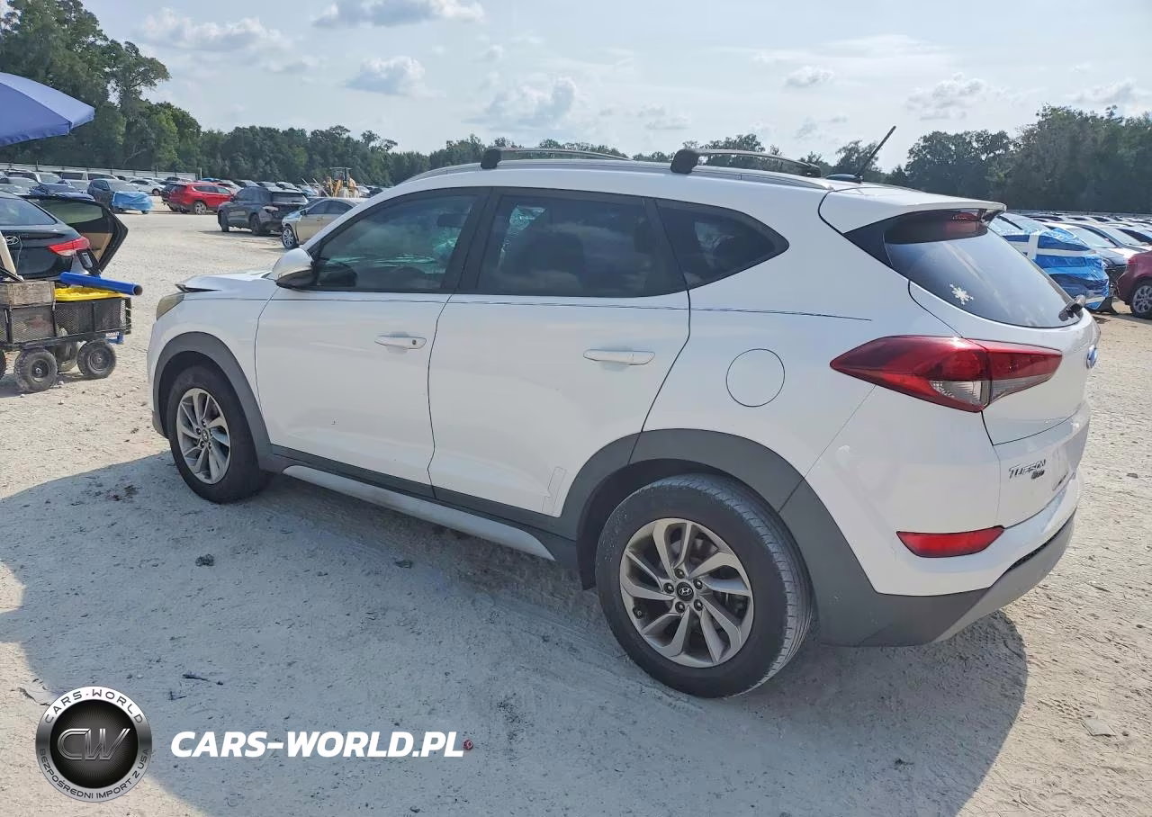 2017 Hyundai Tucson Eco VIN:KM8J33A21HU576175 - 2