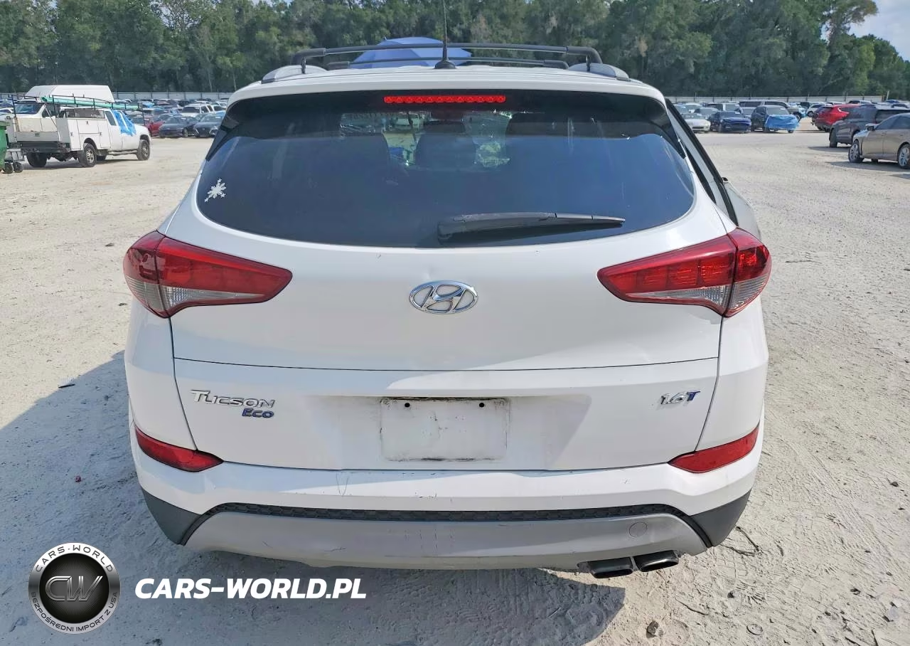 2017 Hyundai Tucson Eco VIN:KM8J33A21HU576175 - 6