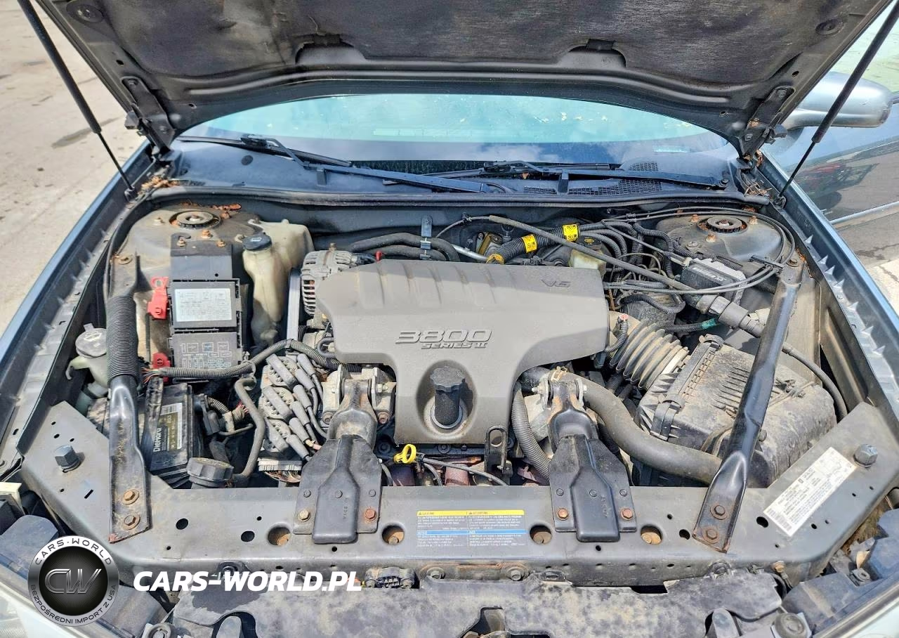 2004 Chevrolet Impala Ls VIN:2G1WH52K149464370 - 11