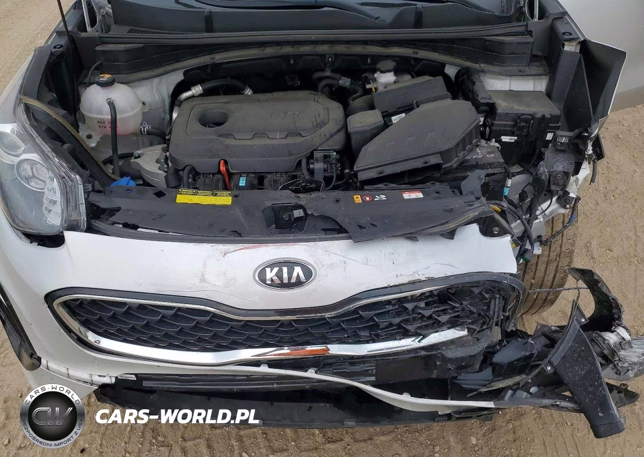 2022 Kia Sportage Lx VIN:KNDPMCACXN7016203 - 12