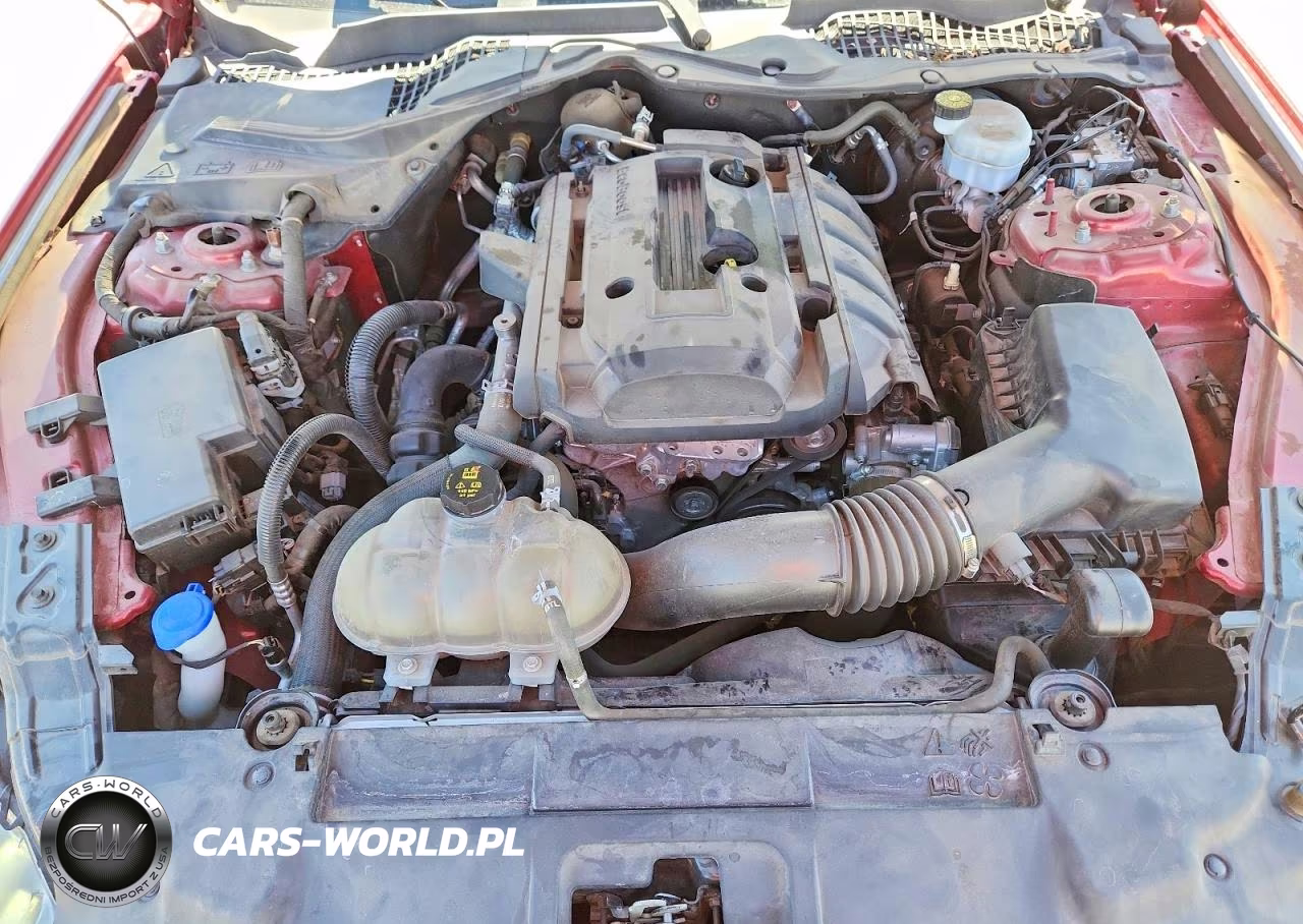 2020 Ford Mustang VIN:1FA6P8THXL5124621 - 11
