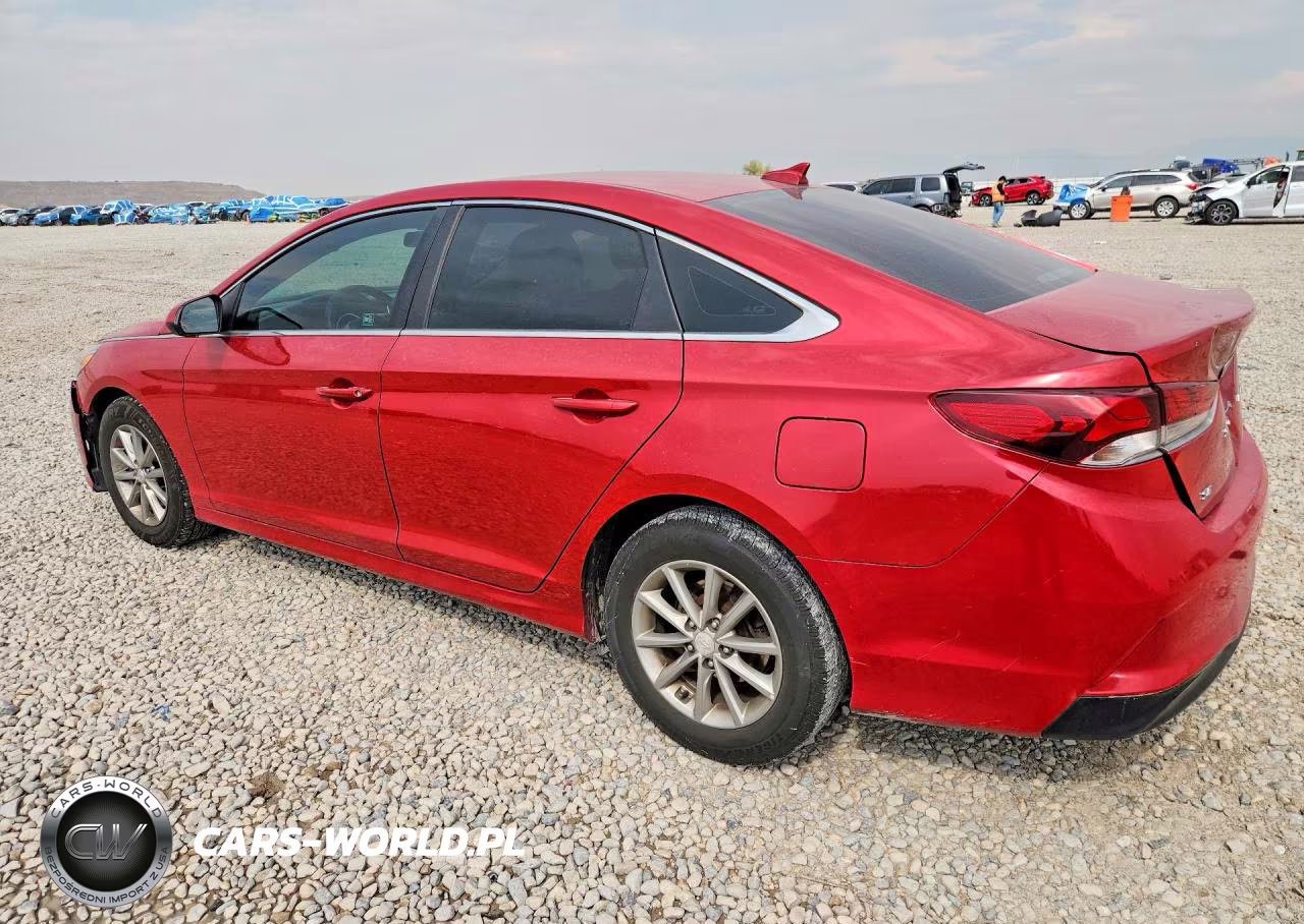 2019 Hyundai Sonata Se VIN:5NPE24AF9KH801557 - 2