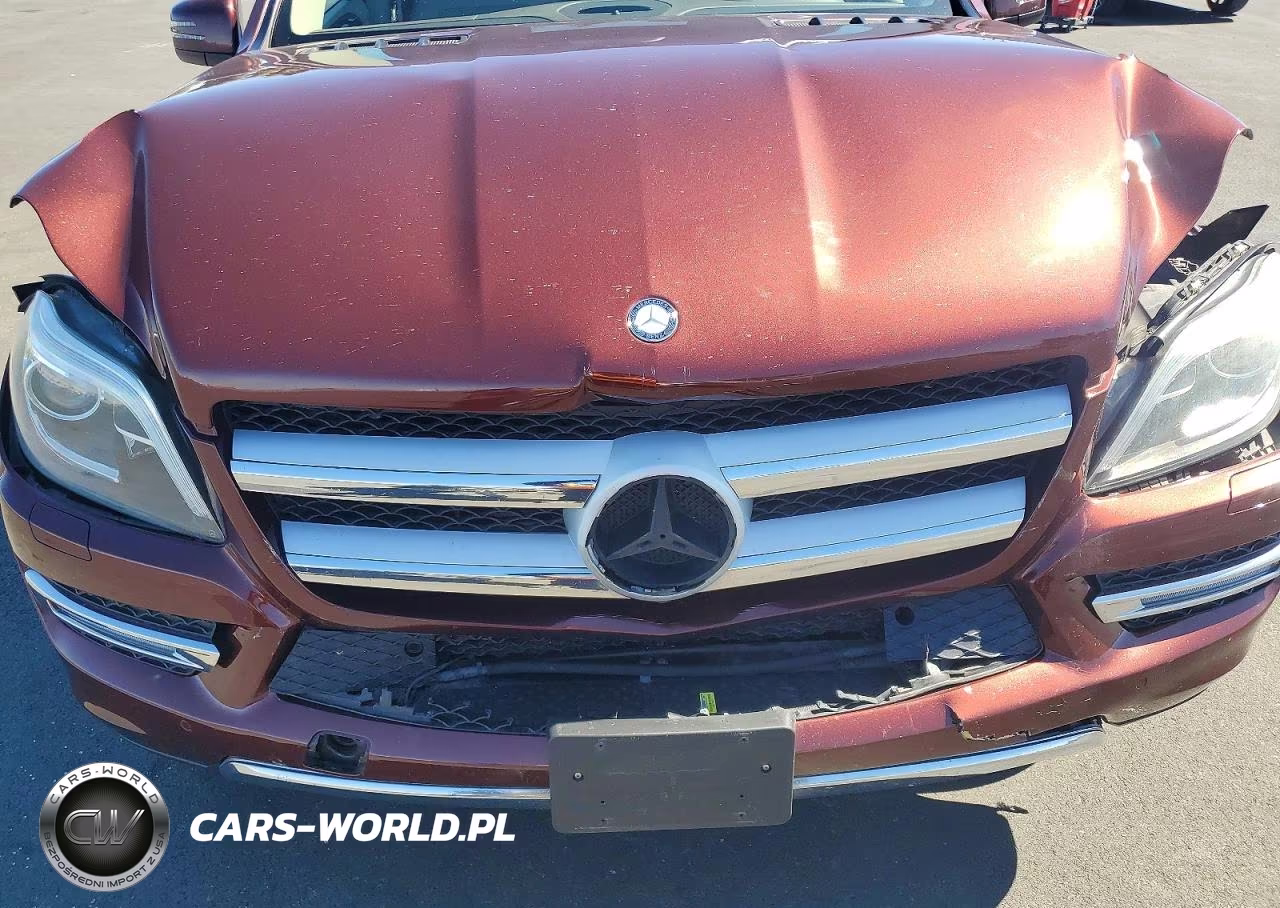2013 Mercedes-Benz Gl 350 Bluetec VIN:4JGDF2EE3DA204755 - 11