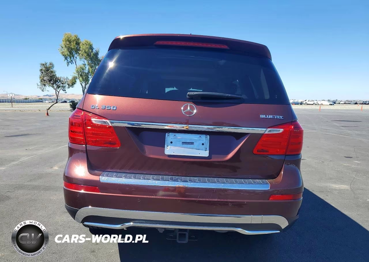 2013 Mercedes-Benz Gl 350 Bluetec VIN:4JGDF2EE3DA204755 - 6