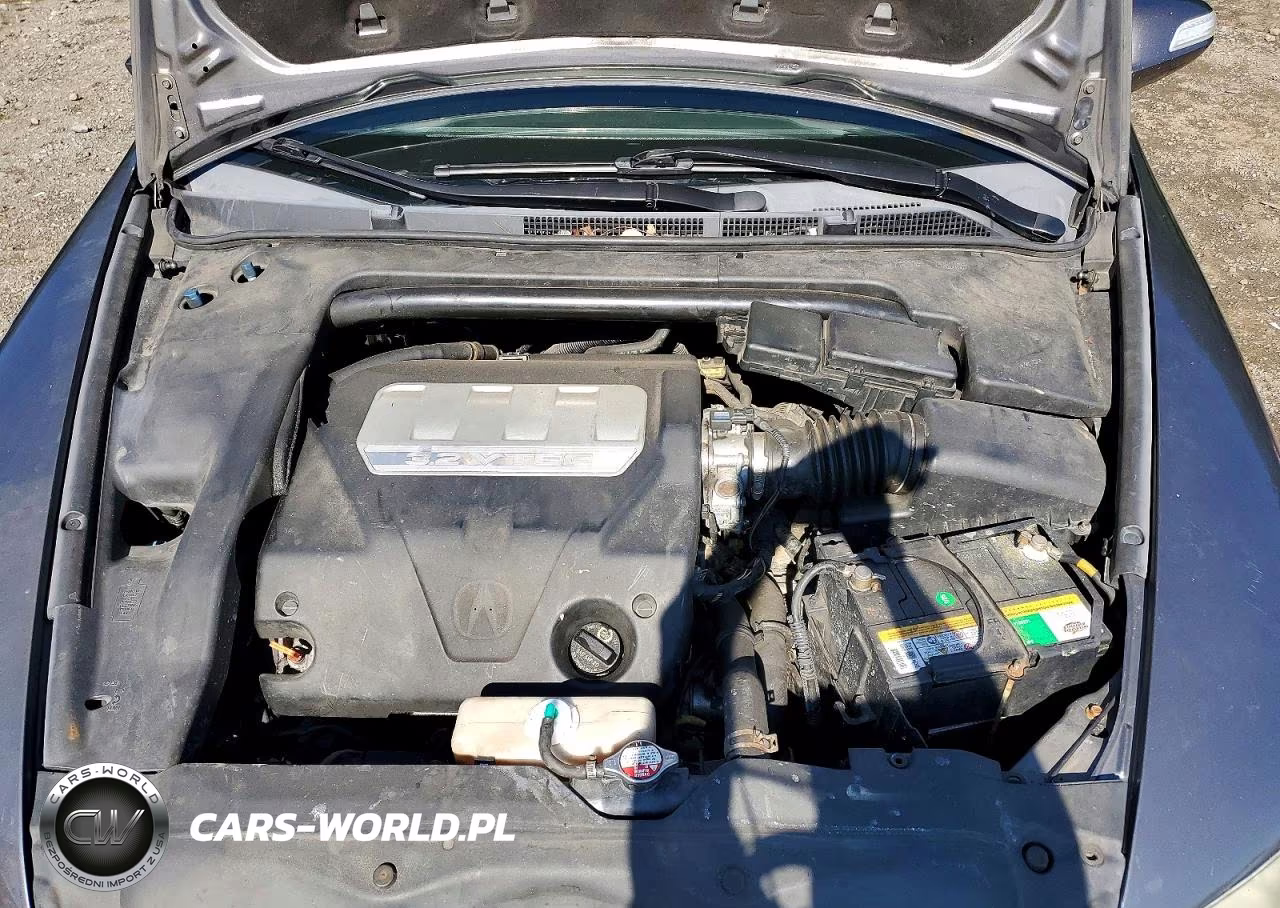 2007 Acura Tl VIN:19UUA66297A042845 - 11