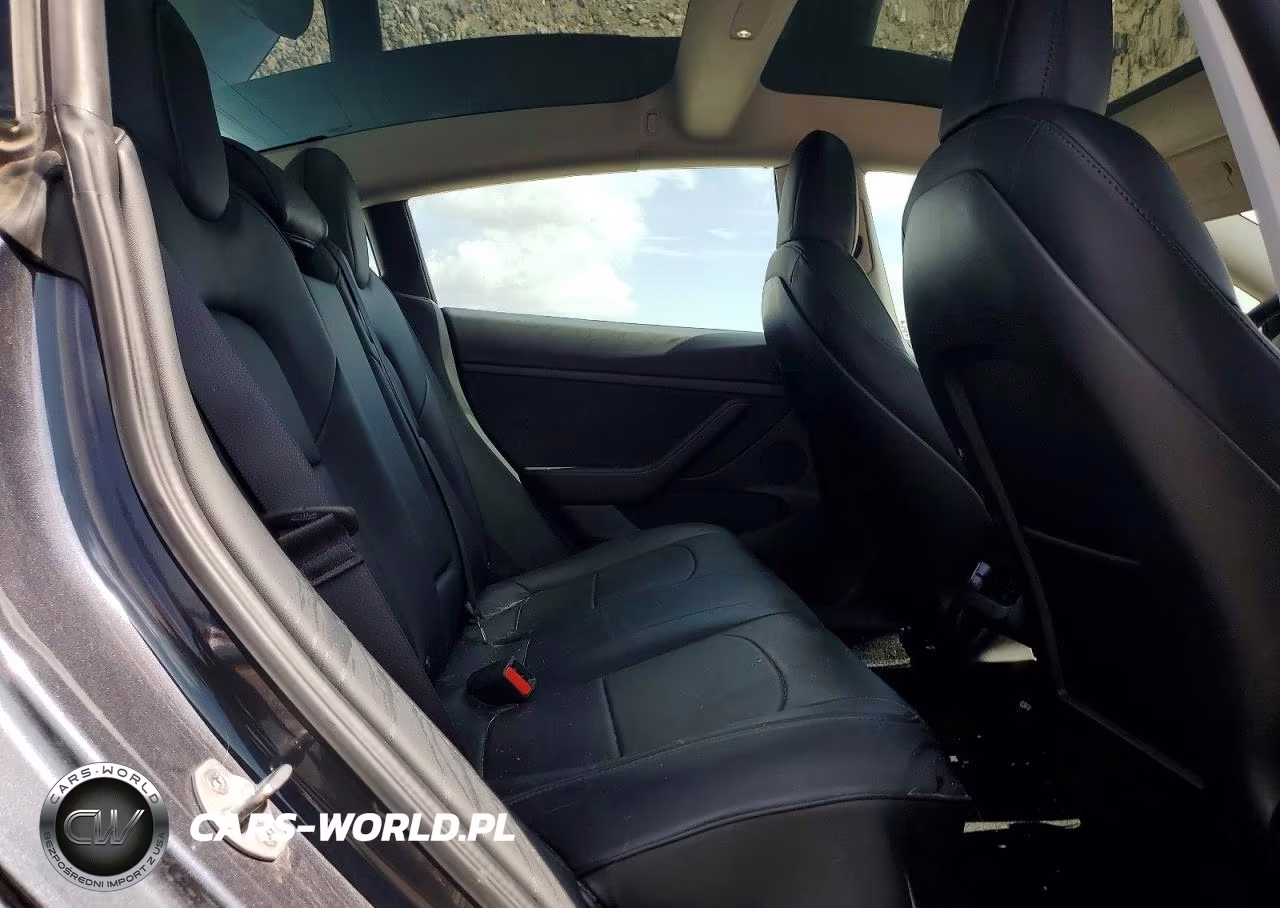 2021 Tesla Model 3 VIN:5YJ3E1EC0MF094833 - 10