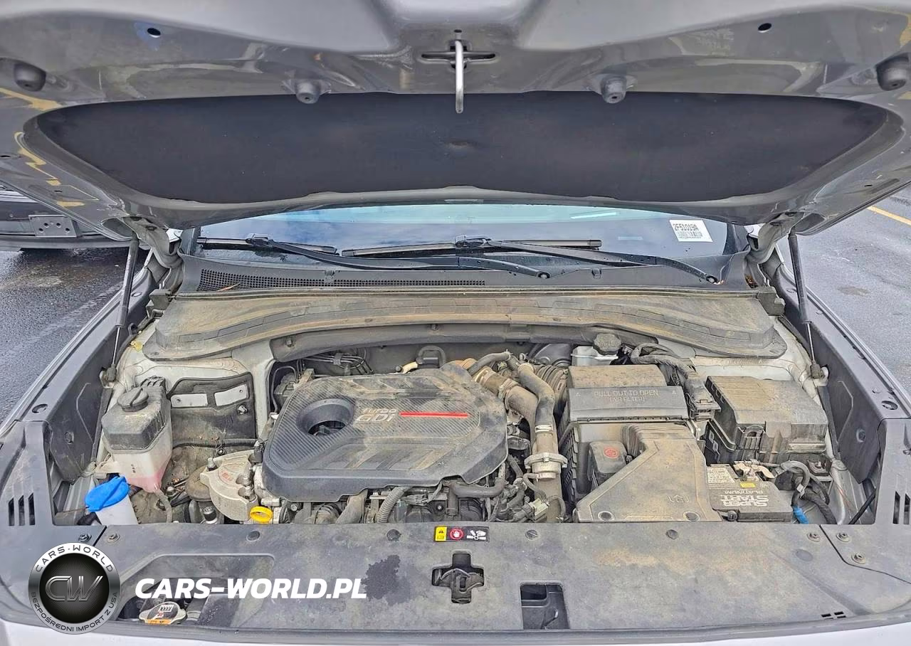 2020 Hyundai Santa Fe Limited 2.0T VIN:5NMS53AAXLH305237 - 7