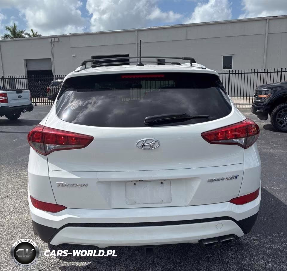 2017 Hyundai Tucson Sport VIN:KM8J33A25HU513628 - 14