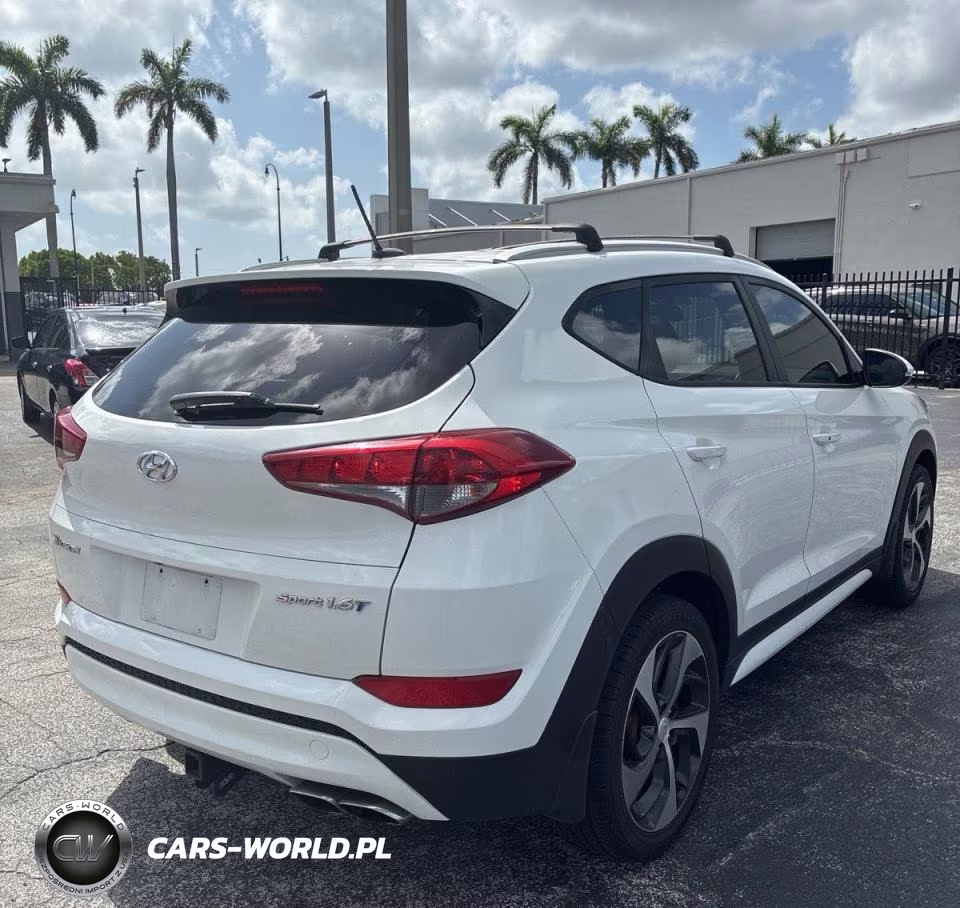 2017 Hyundai Tucson Sport VIN:KM8J33A25HU513628 - 4