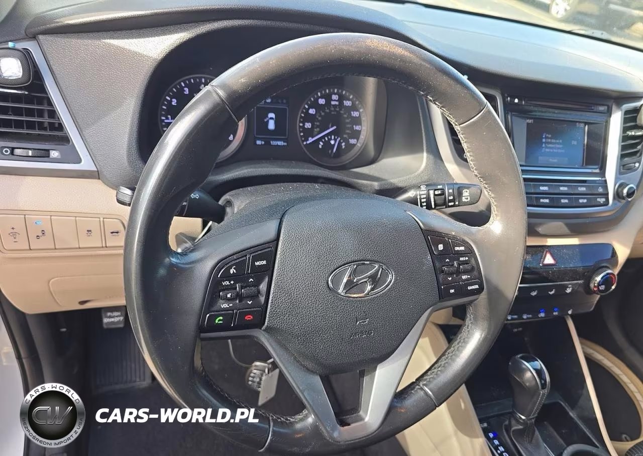 2017 Hyundai Tucson Sport VIN:KM8J33A25HU513628 - 9
