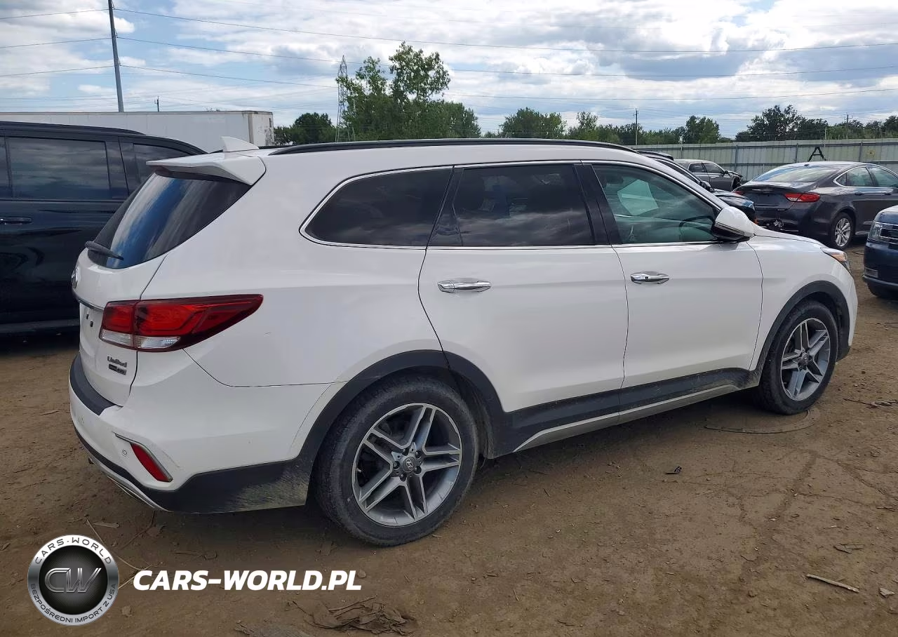 2017 Hyundai Santa Fe Limited Ultimate VIN:KM8SRDHF1HU233996 - 3