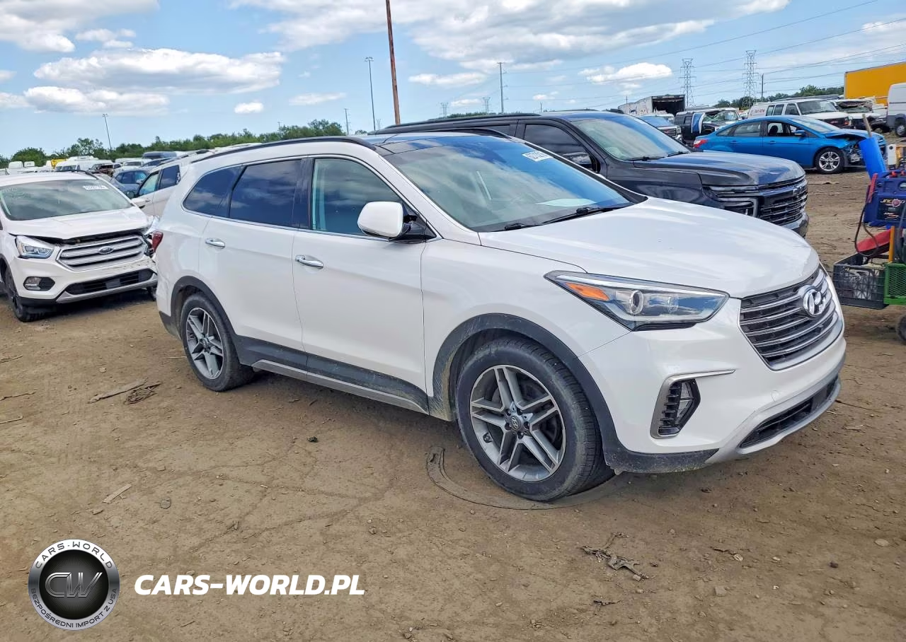 2017 Hyundai Santa Fe Limited Ultimate VIN:KM8SRDHF1HU233996 - 4