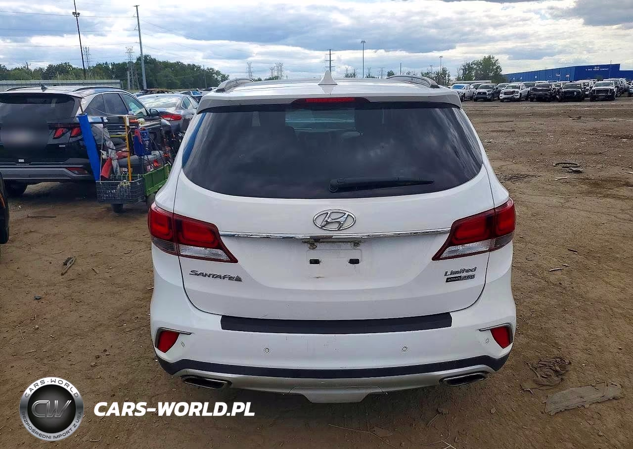 2017 Hyundai Santa Fe Limited Ultimate VIN:KM8SRDHF1HU233996 - 6