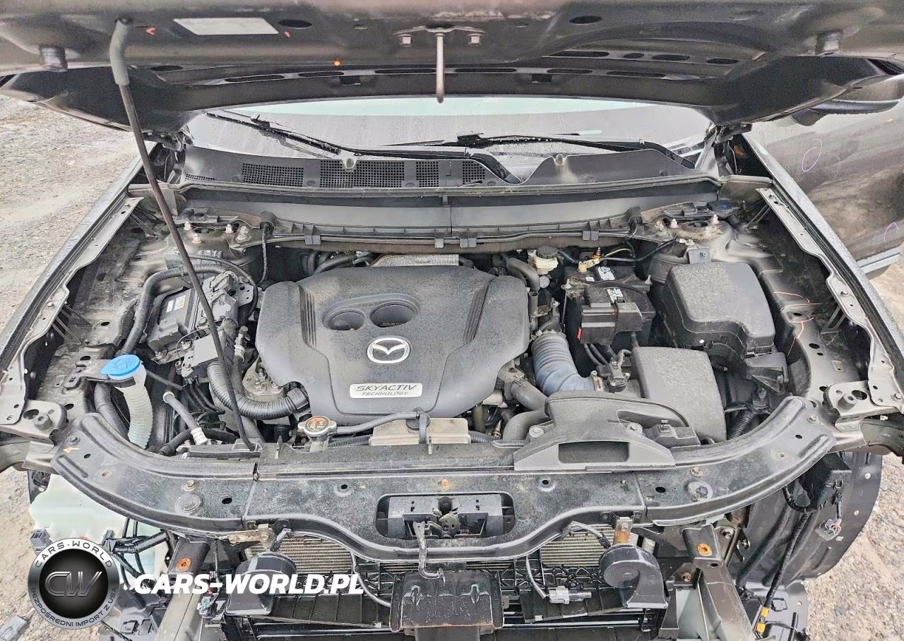2019 Mazda Cx-9 Grand Touring VIN:JM3TCBDY9K0310769 - 12