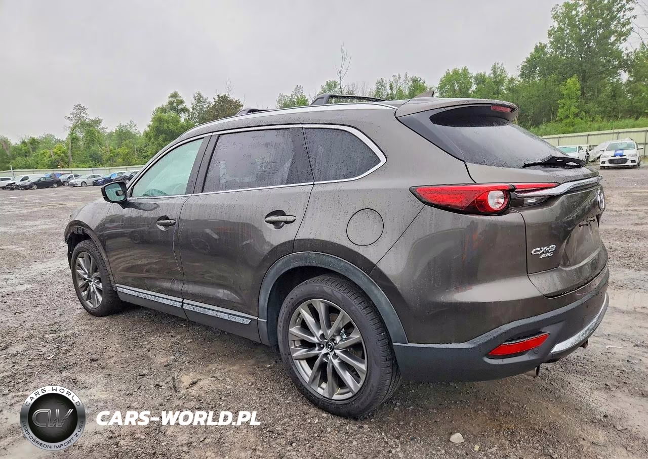 2019 Mazda Cx-9 Grand Touring VIN:JM3TCBDY9K0310769 - 2