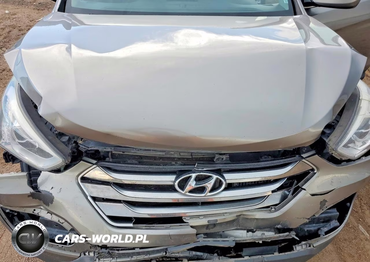 2015 Hyundai Santa Fe Sport 2.0T VIN:5XYZUDLA3FG275470 - 12