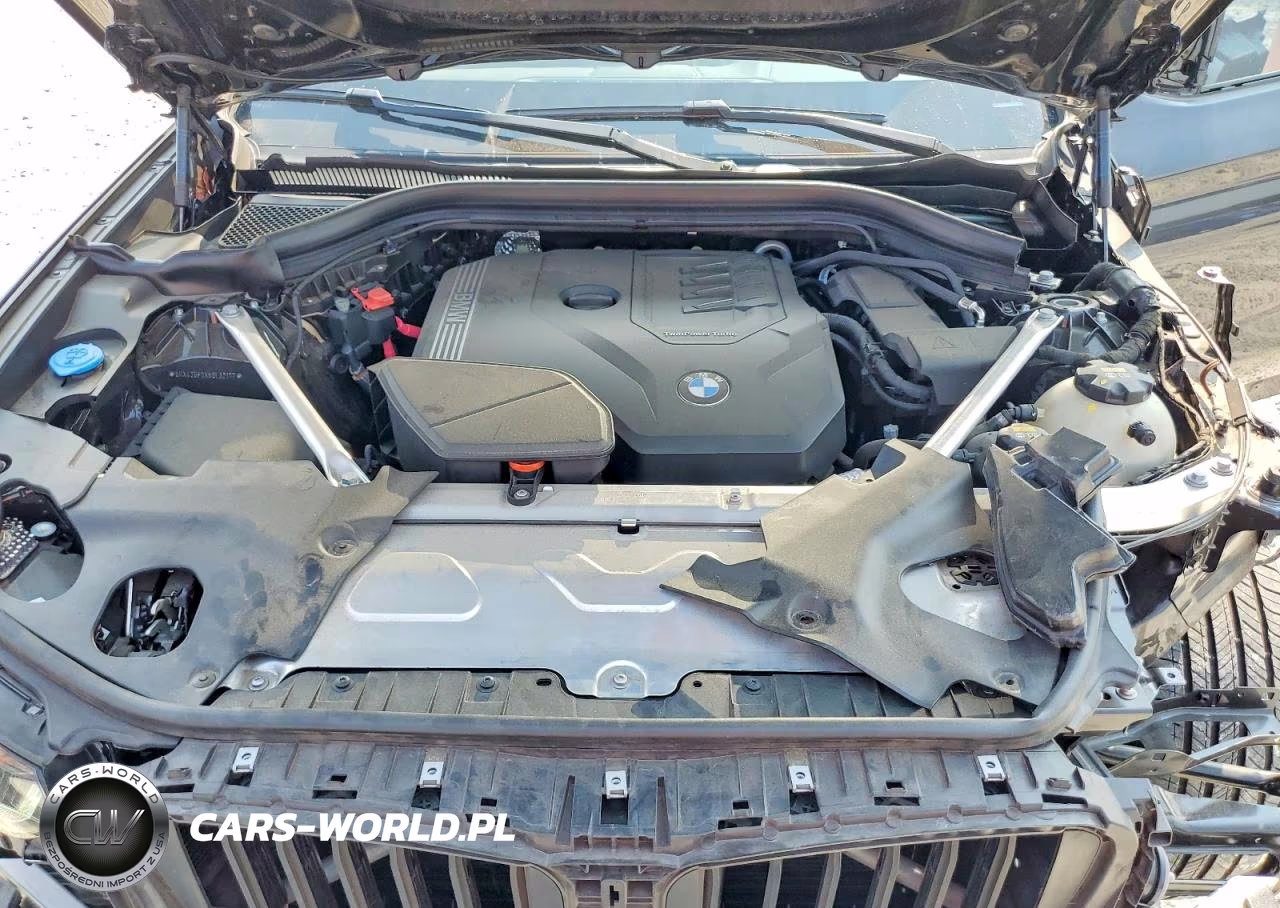 2022 BMW X3 Sdrive30I VIN:5UX43DP0XN9L32177 - 12