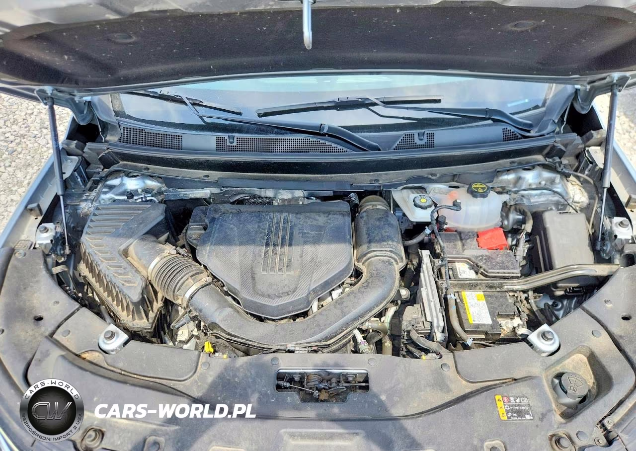 2025 Chevrolet Traverse Lt VIN:1GNEVGRS8SJ203677 - 12