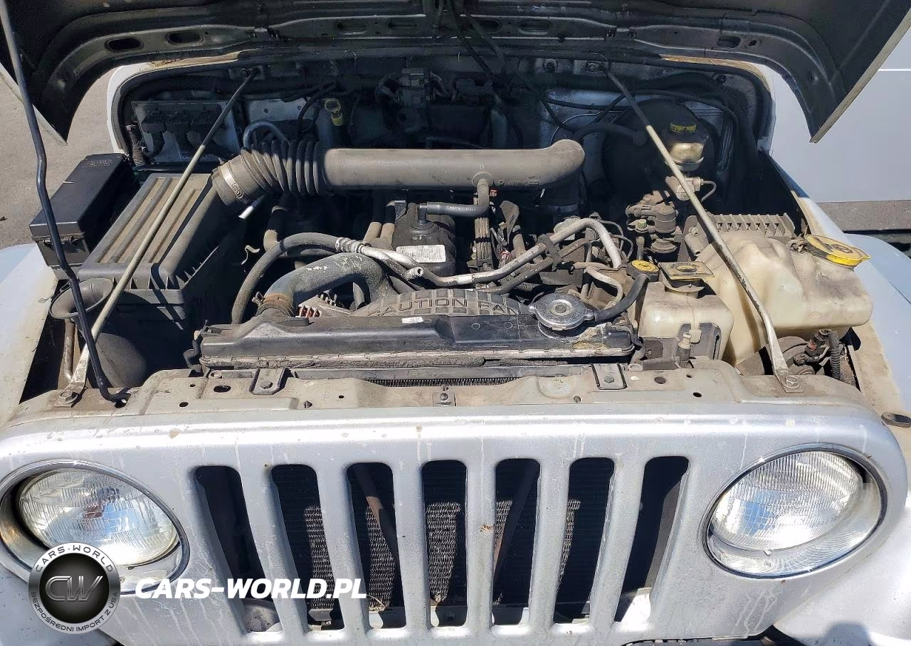 2003 Jeep Wrangler Commando VIN:1J4FA39S13P359375 - 11