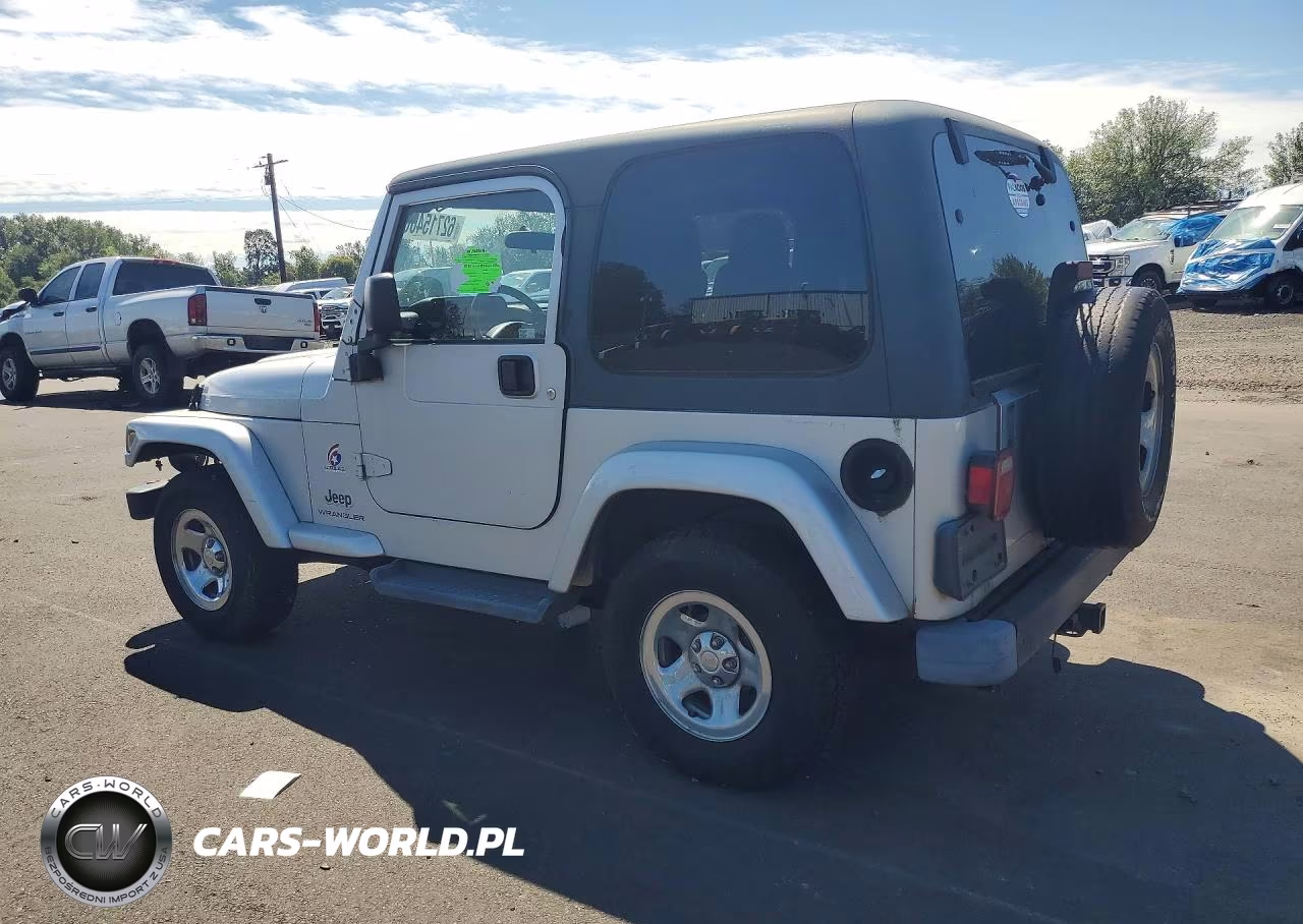 2003 Jeep Wrangler Commando VIN:1J4FA39S13P359375 - 2