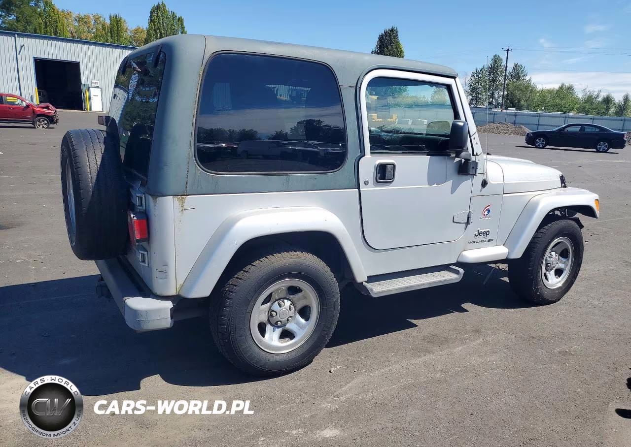 2003 Jeep Wrangler Commando VIN:1J4FA39S13P359375 - 3