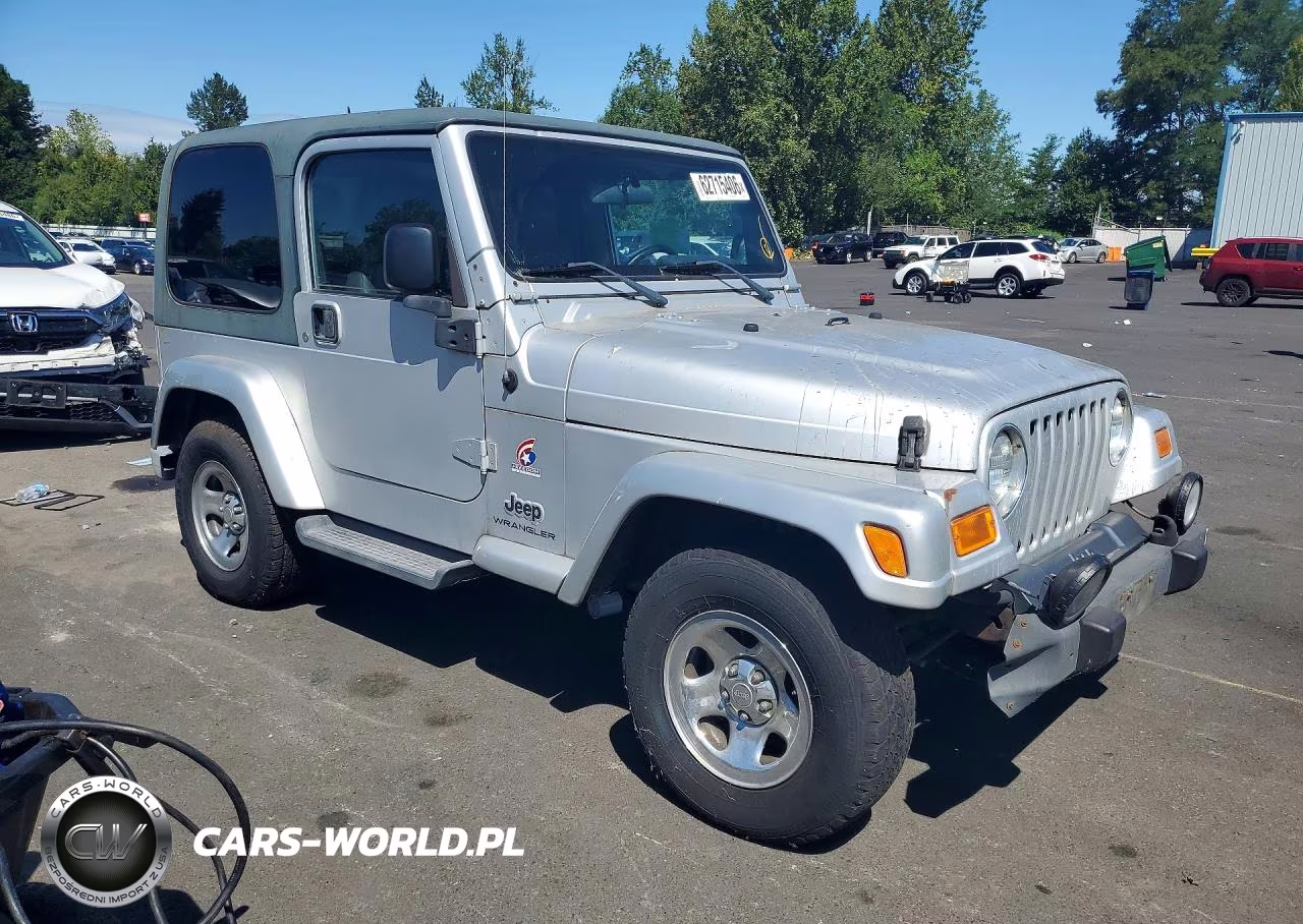 2003 Jeep Wrangler Commando VIN:1J4FA39S13P359375 - 4