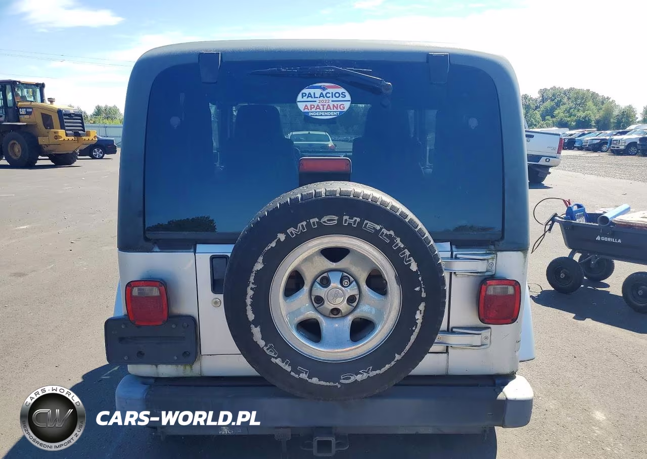 2003 Jeep Wrangler Commando VIN:1J4FA39S13P359375 - 6