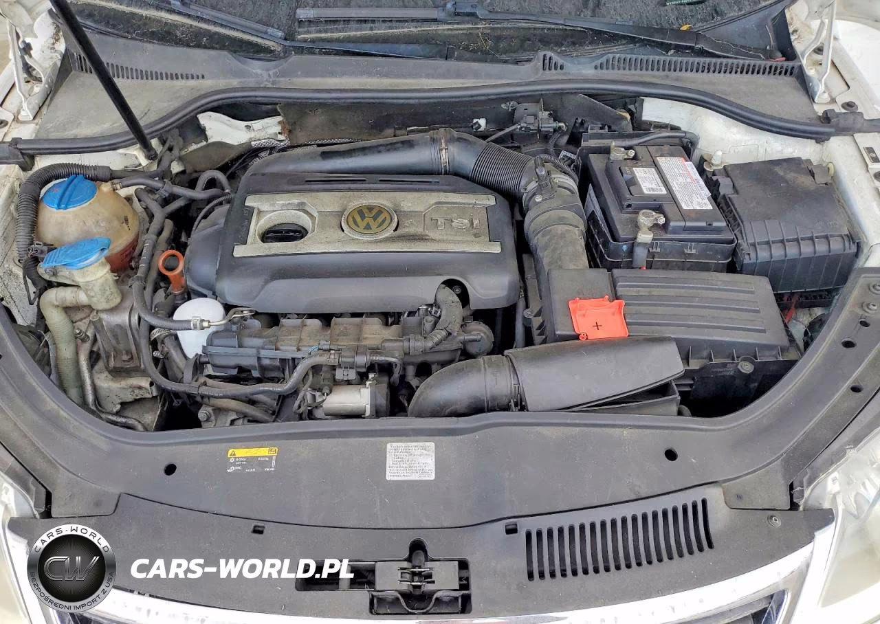 2009 Volkswagen Eos Lux VIN:WVWFA71F99V015423 - 11