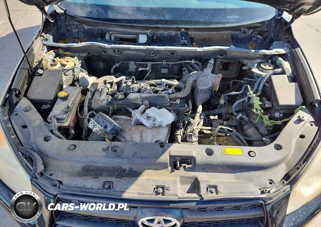 2009 Toyota Rav4 Base VIN:JTMBF33V19D006105 - 12