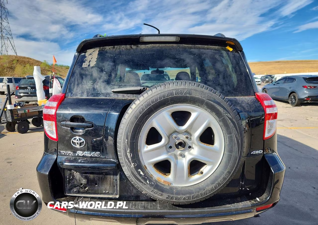 2009 Toyota Rav4 Base VIN:JTMBF33V19D006105 - 6